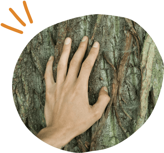 Hand on a tree, in contact with Nature